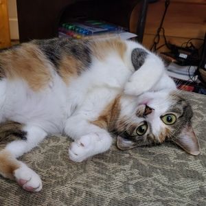 Meet your Posher, Rebecca